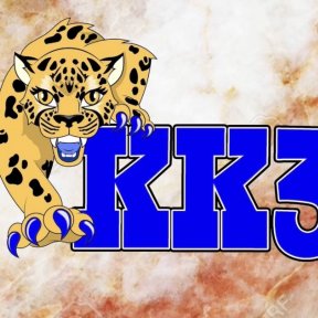 Klassy Katz logo